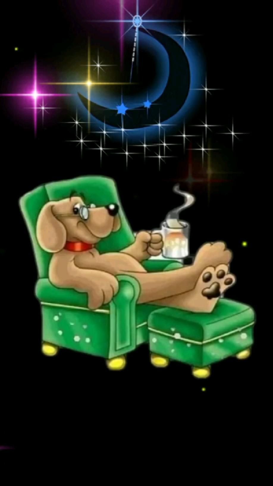 Доброй ночи