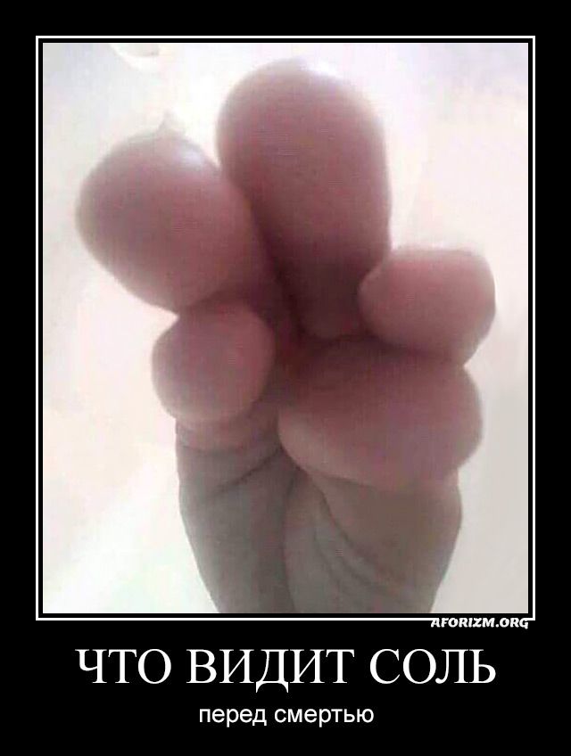 Что видит соль перед смертью