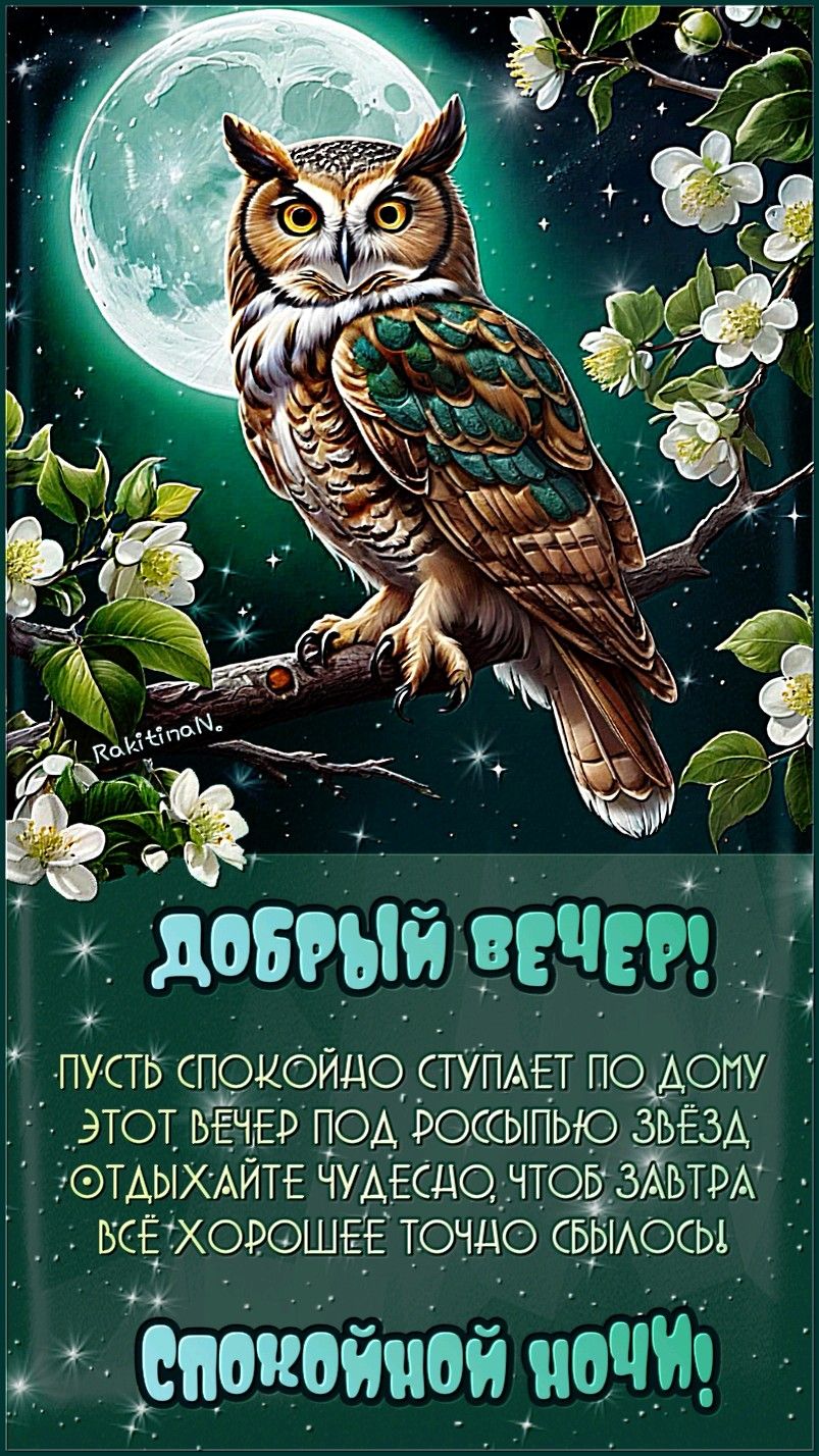 Добрый вечер и спокойной ночи!