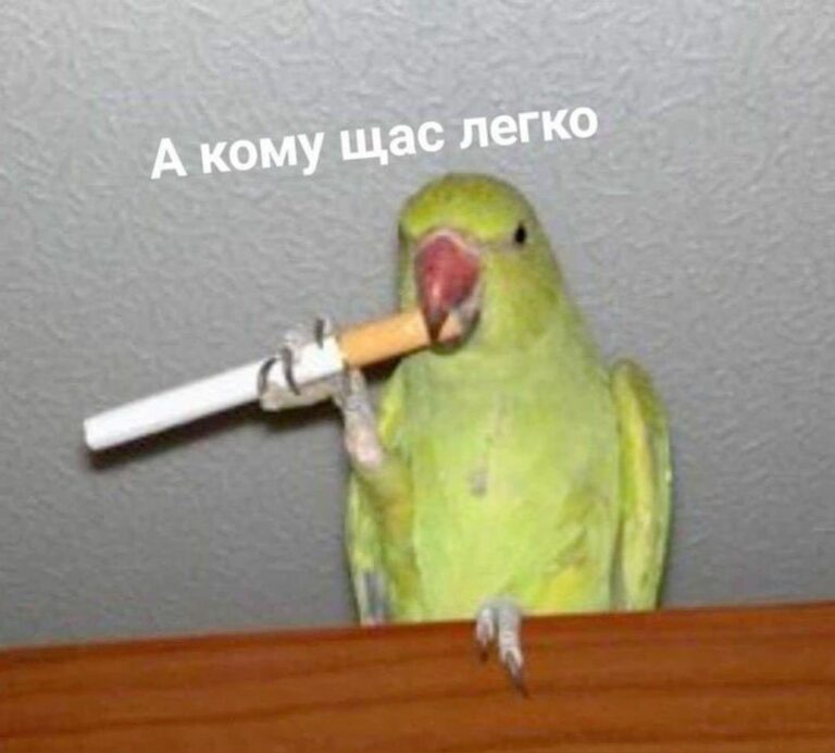 Попуг