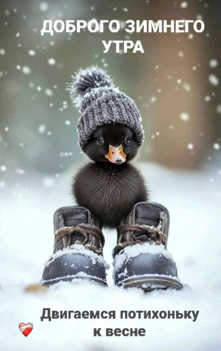 доброе зимнее утро