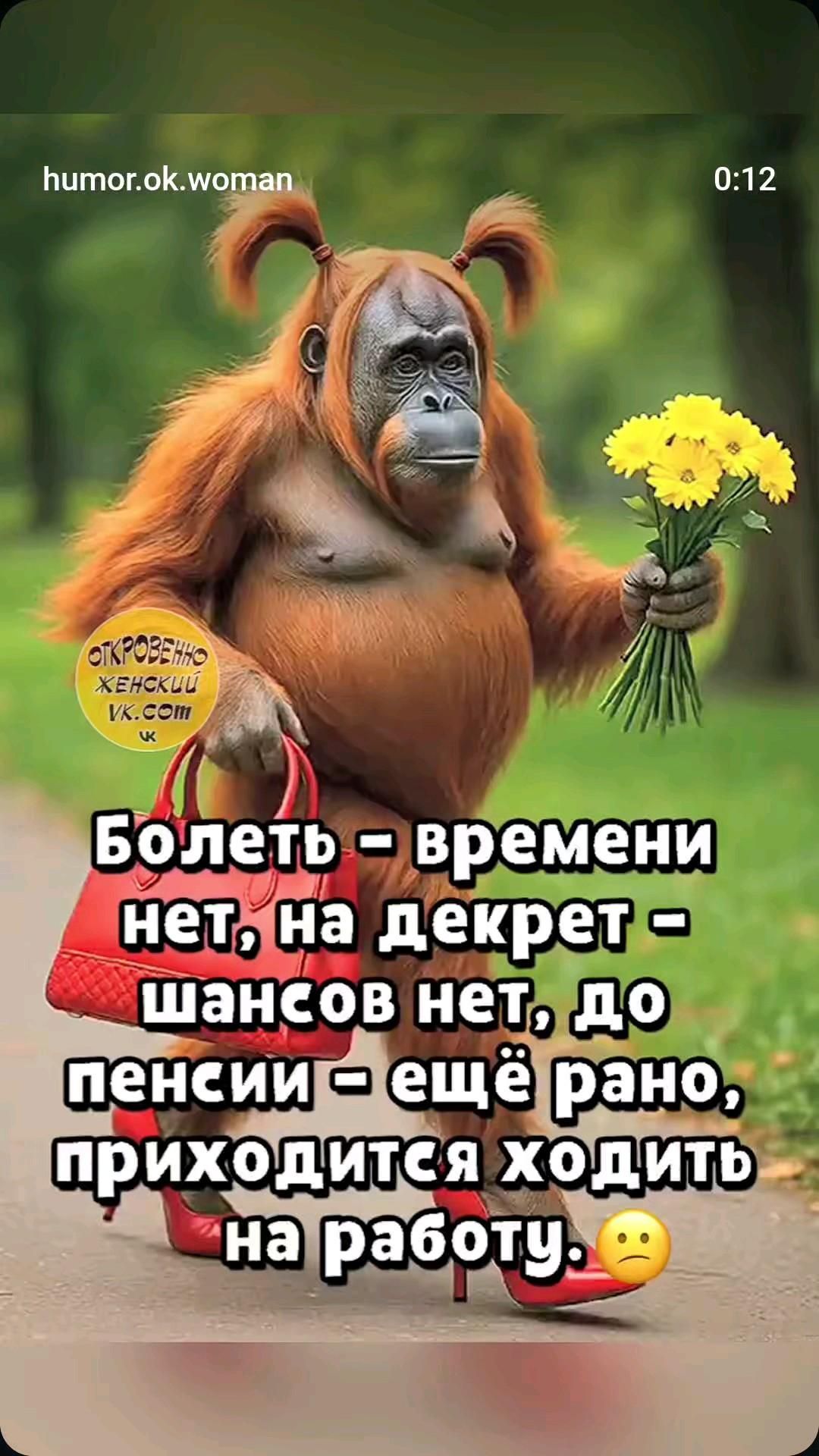 😀😃😄😁😆😅🤣😂