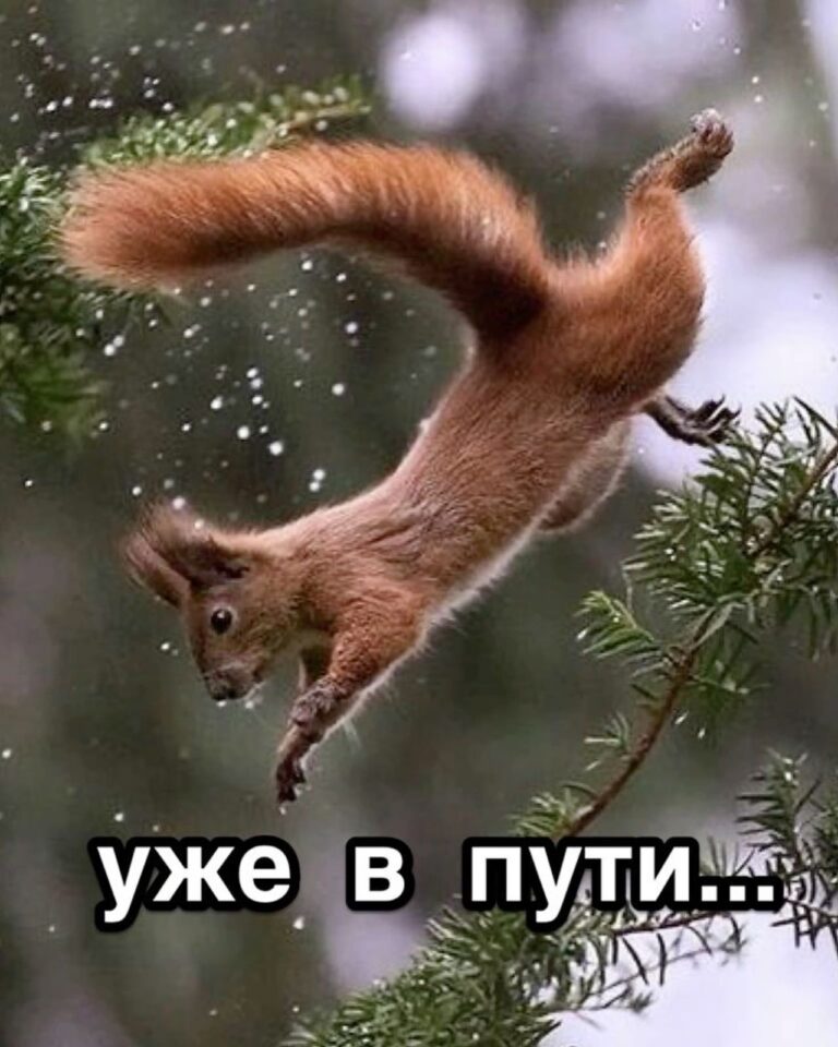 Уже в пути…