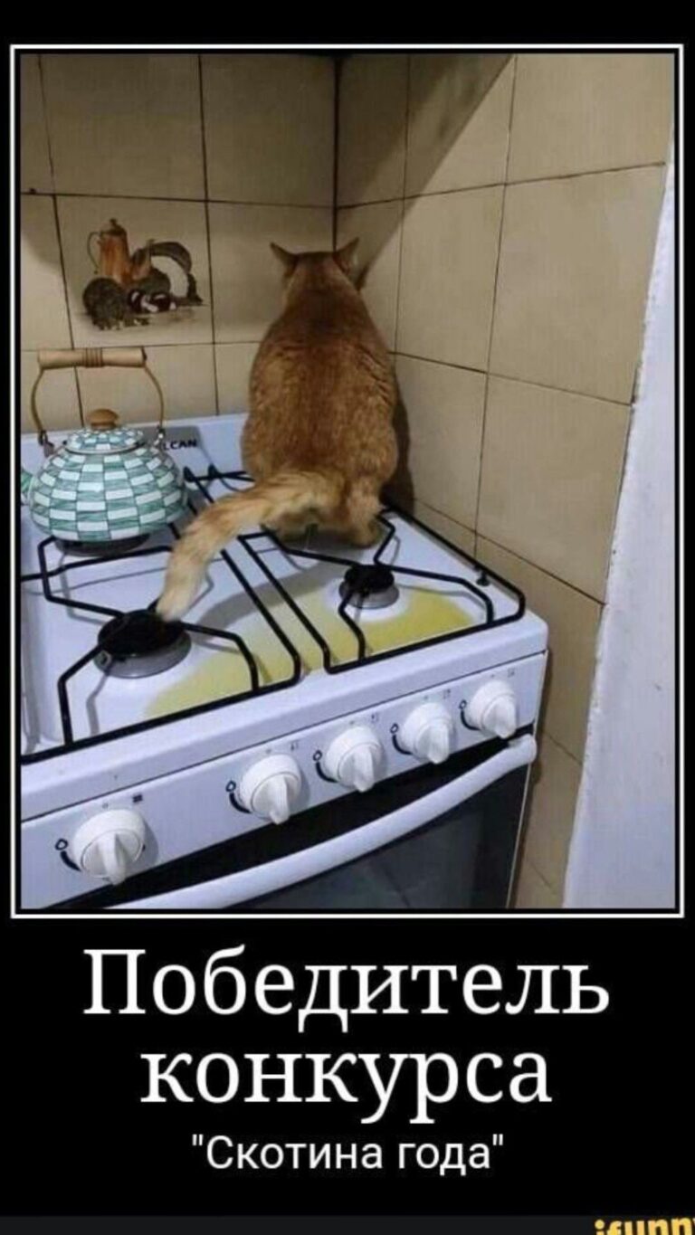 Победитель конкурса