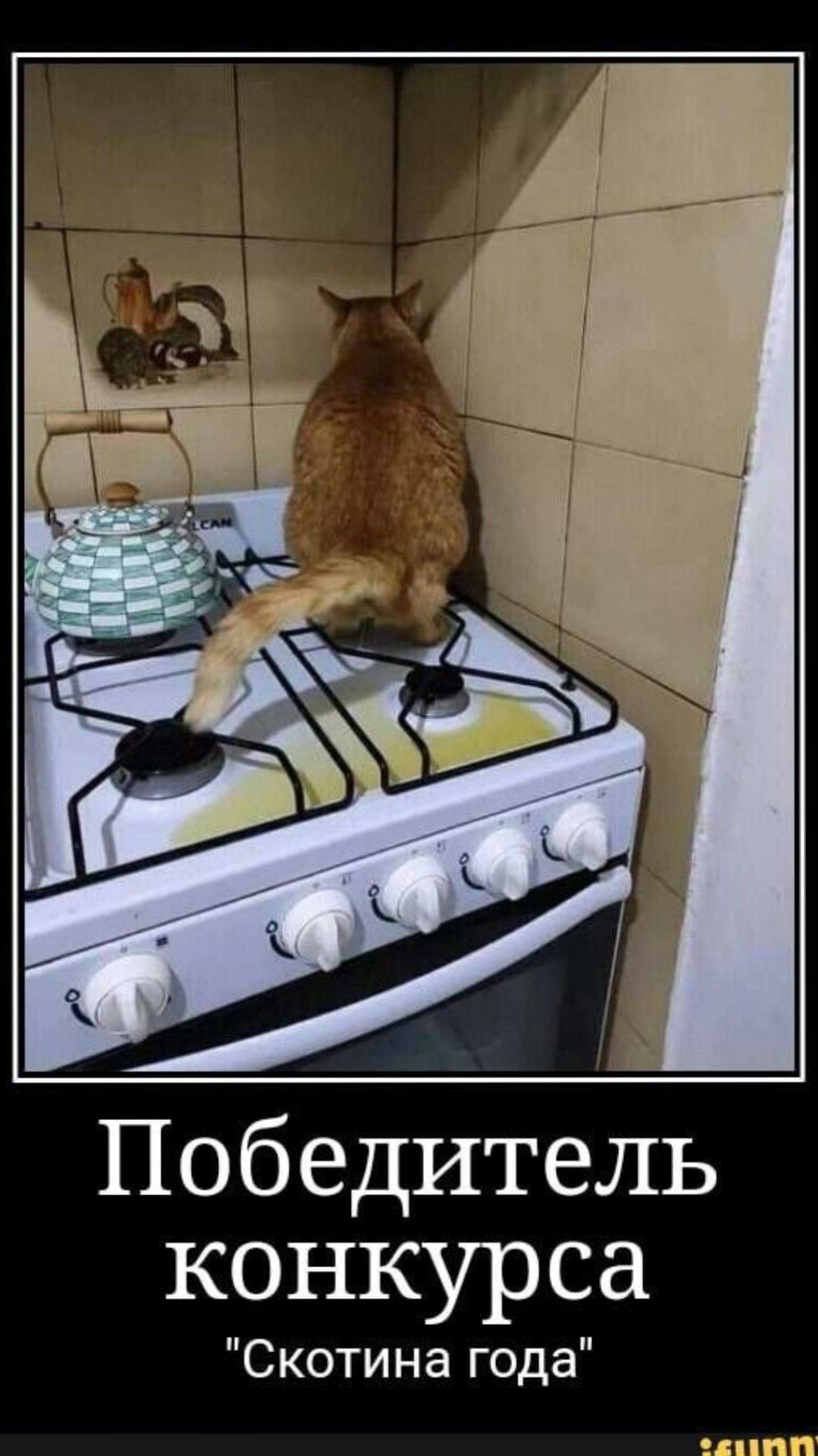 Победитель конкурса