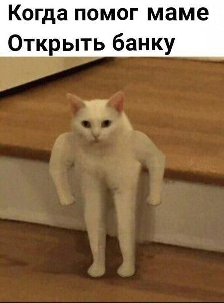 жиза