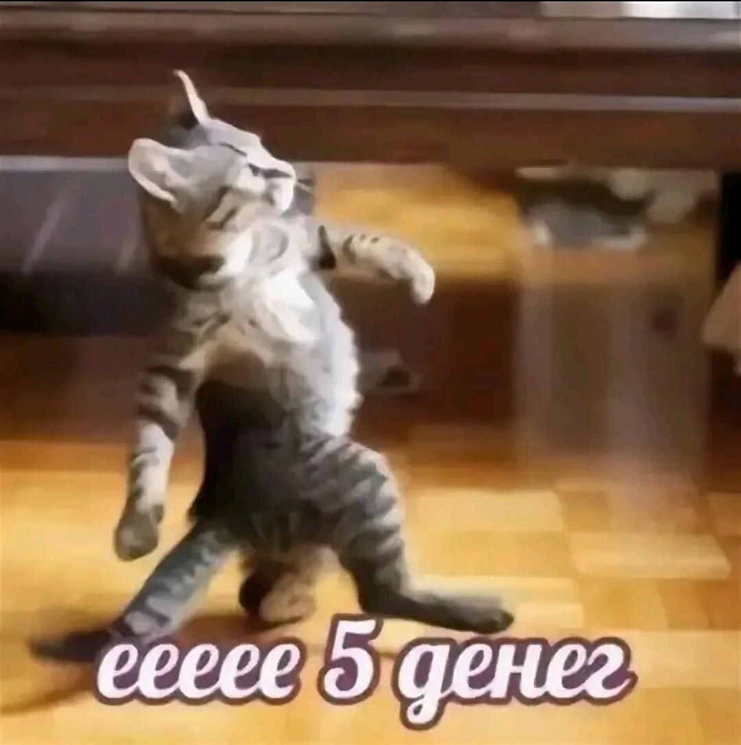 ееее 5 денег