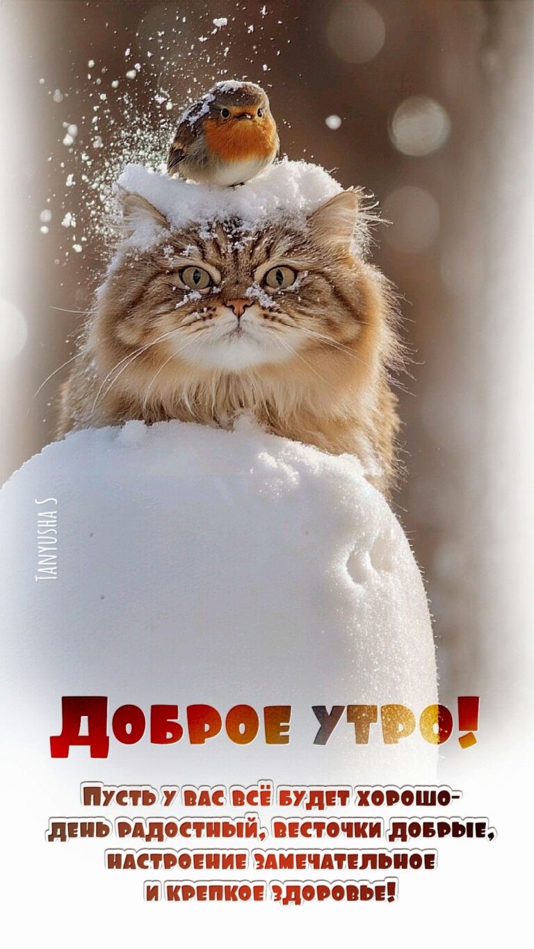 ДОБРОЕ УТРО!❄️☃️