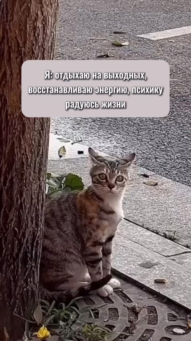 рабочие чаты
