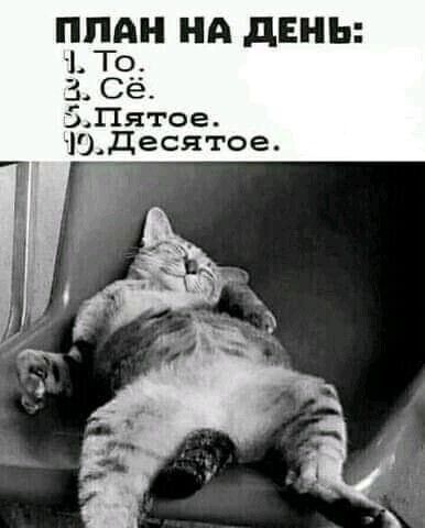 смешные открытки72