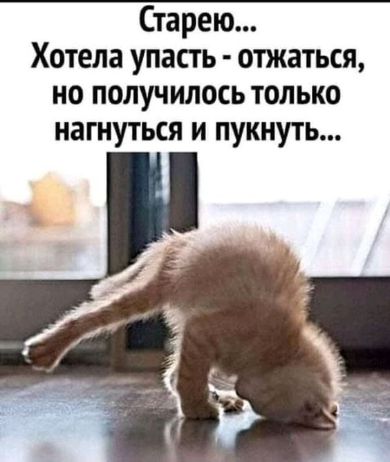 приколы юмор картинки1124