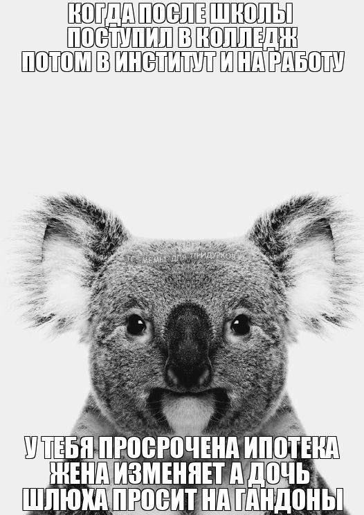 тг: мемы для придурков