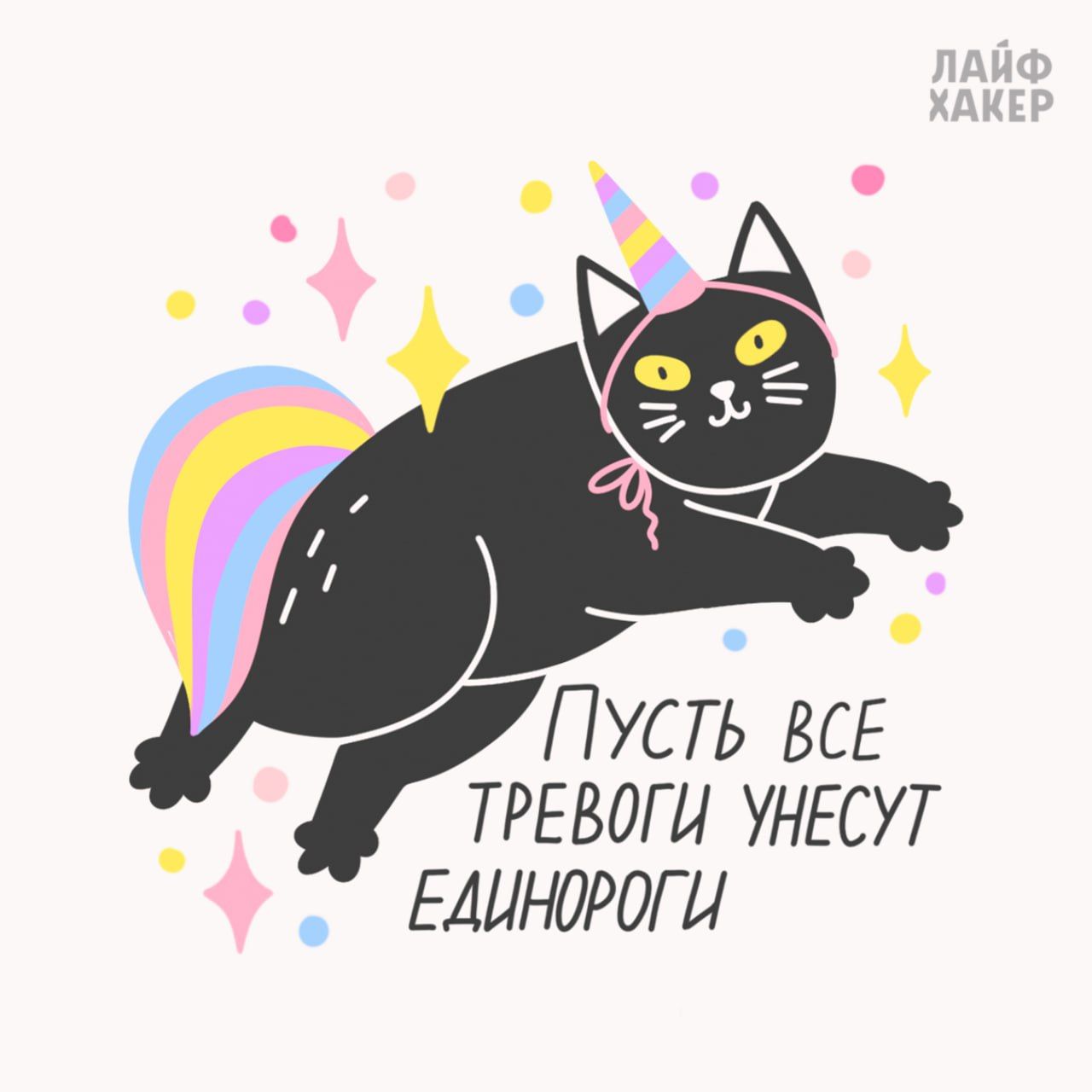 Кот-единорог к вам с важным посланием
