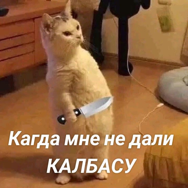 Кагда мне не дали КАЛБАСУ