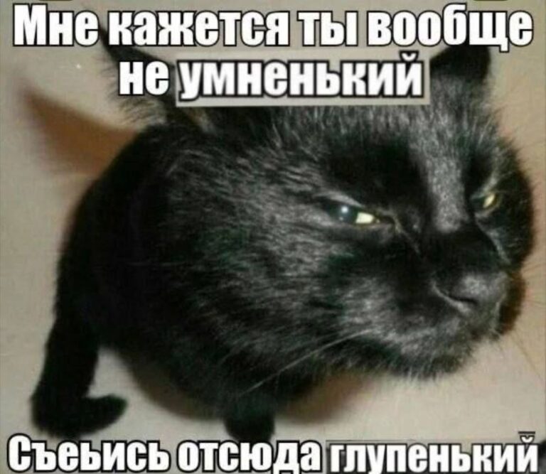 мне кажется ты вообще не умненький