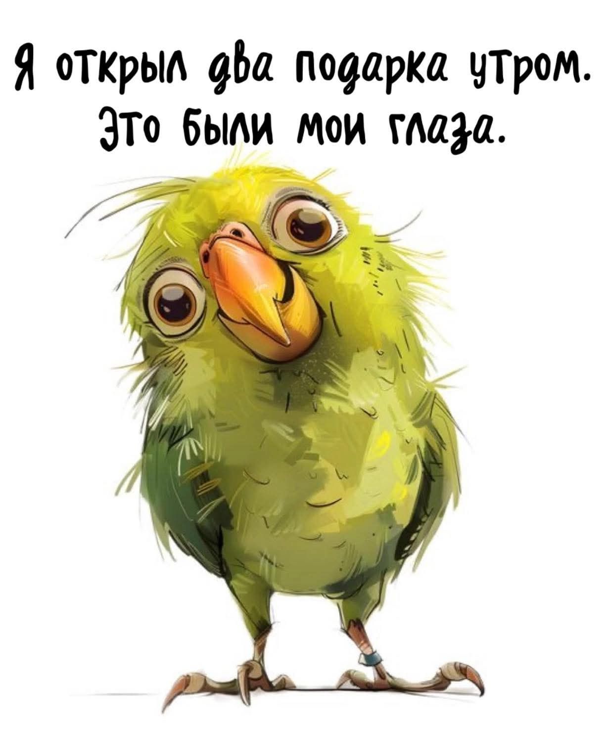 Я открыл два подарка…