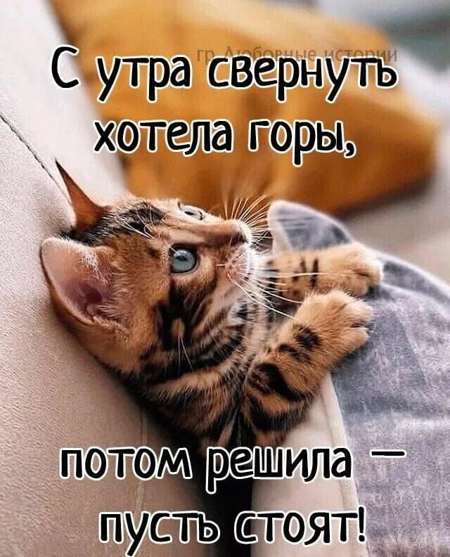#длябабушек