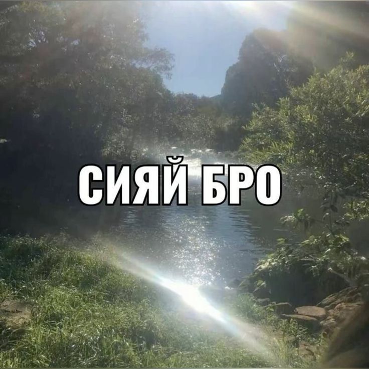 СИЯЙ БРО
