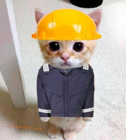 к заводу готов