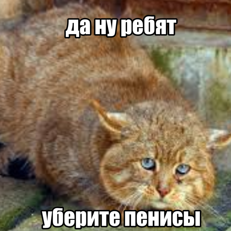 да ну ребят…