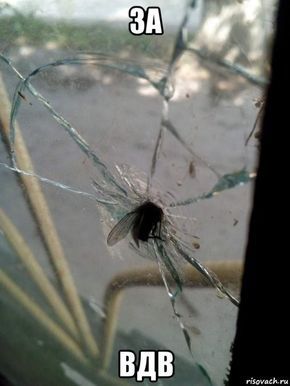 Приколюхи из скотсетей. Ч.2 – ЯПлакалъ