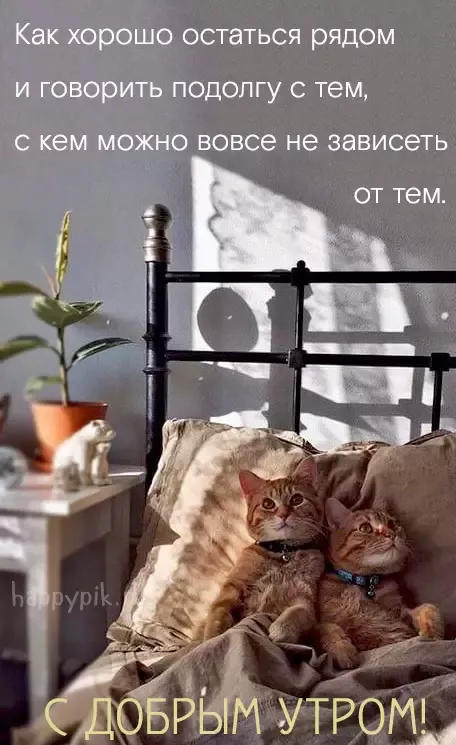 Картинки любимому мужчине С добрым утром ☀️⏰ – скачать