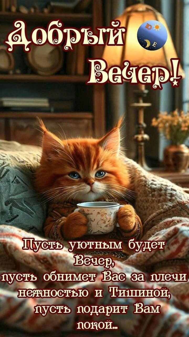 Добрый вечер ☕