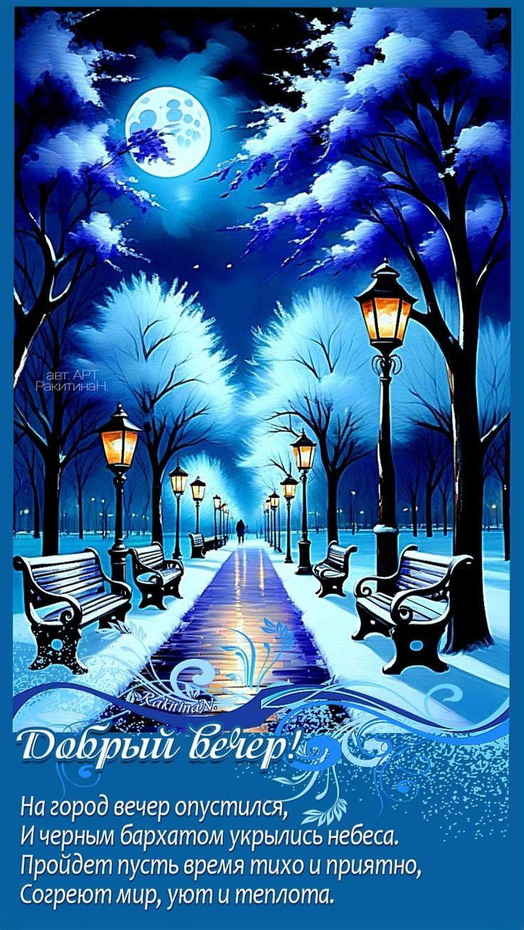 ✨🌛 Добрый вечер!