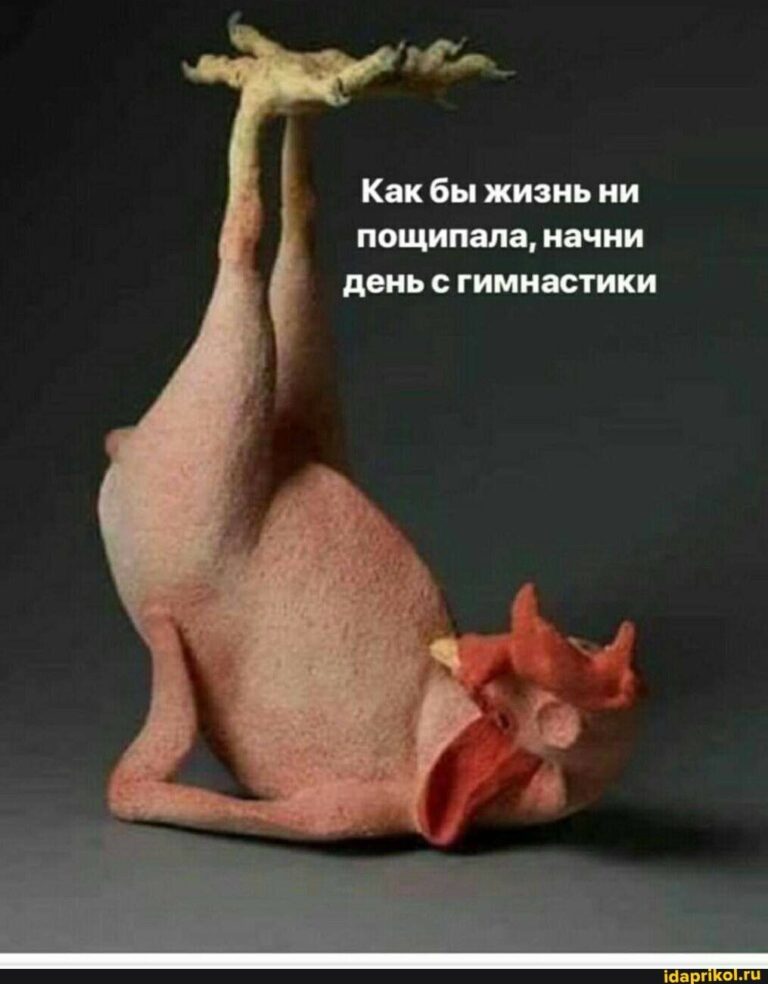 Как бы жизнь ни пощипала, начни день с гимнастики – АйДаПрикол