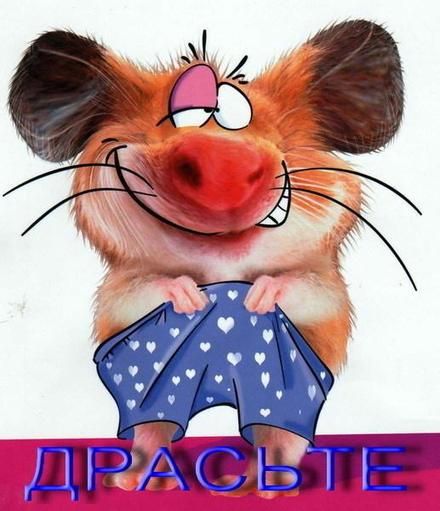 Открытка привет, приветик! Картинка привет, приветик! Прикольная открытка здрасте. Мышь с семейных трусах.