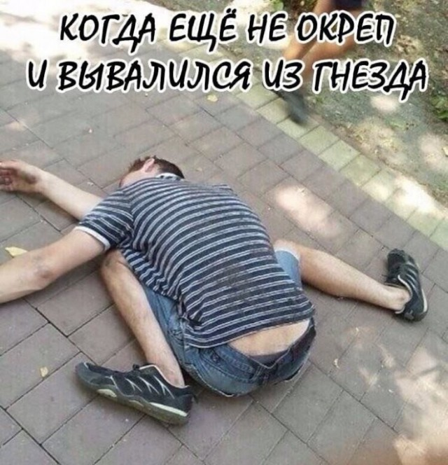 Немного картинок для настроения 10.02.20 – ЯПлакалъ