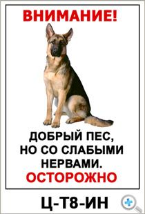 Прикольные, веселые таблички “Осторожно злая собака”, вывески на двери