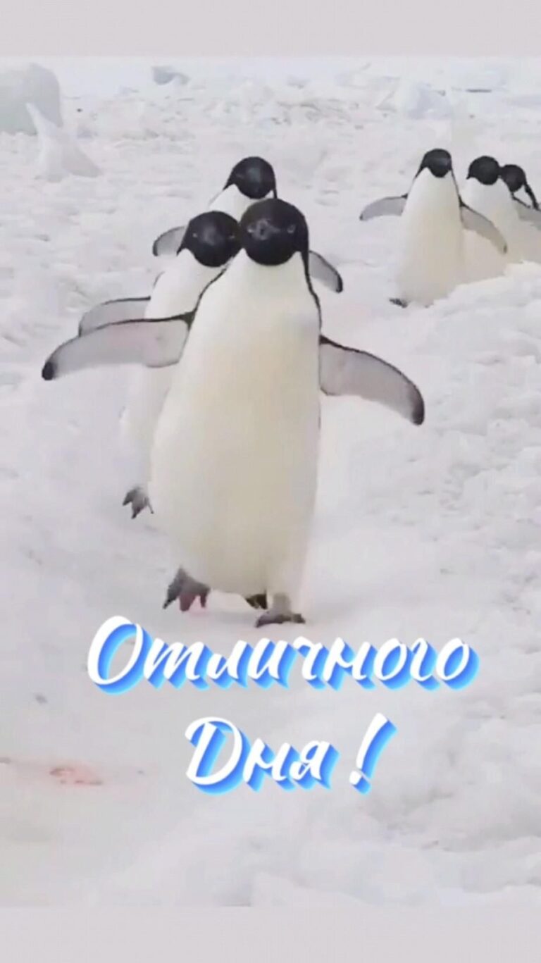 Доброе утро ☕🌞