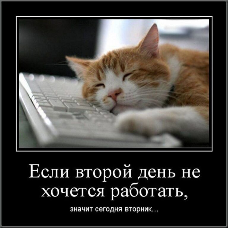 Прикольная картинка с надписями про вторник