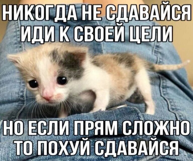 никогда не сдавайся иди к своей цели