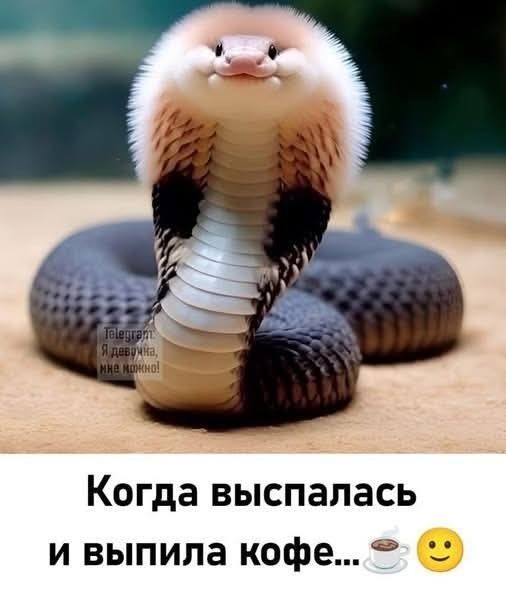 Присоединяйся к нам для смеха и веселья: лучшие моменты здесь!