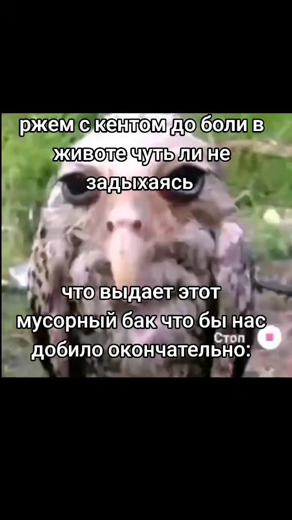 Буквально я