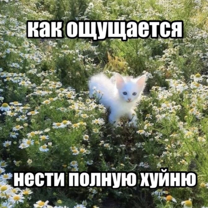 тг ГУЧИГЕНГОВО