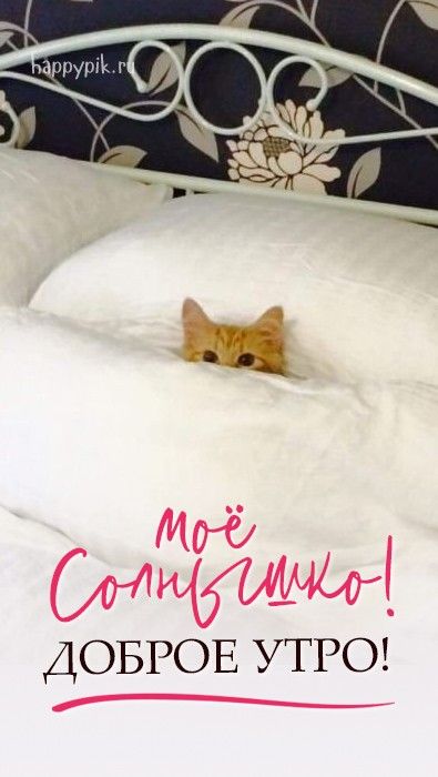 ☀️💋Красивые картинки С добрым утром любимой – скачать