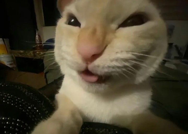 Мухехехе😈