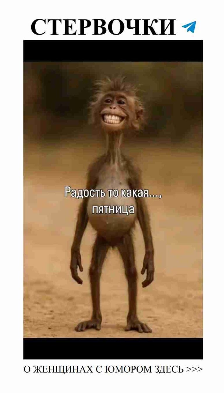 Пятница – время для смеха, любви и веселья