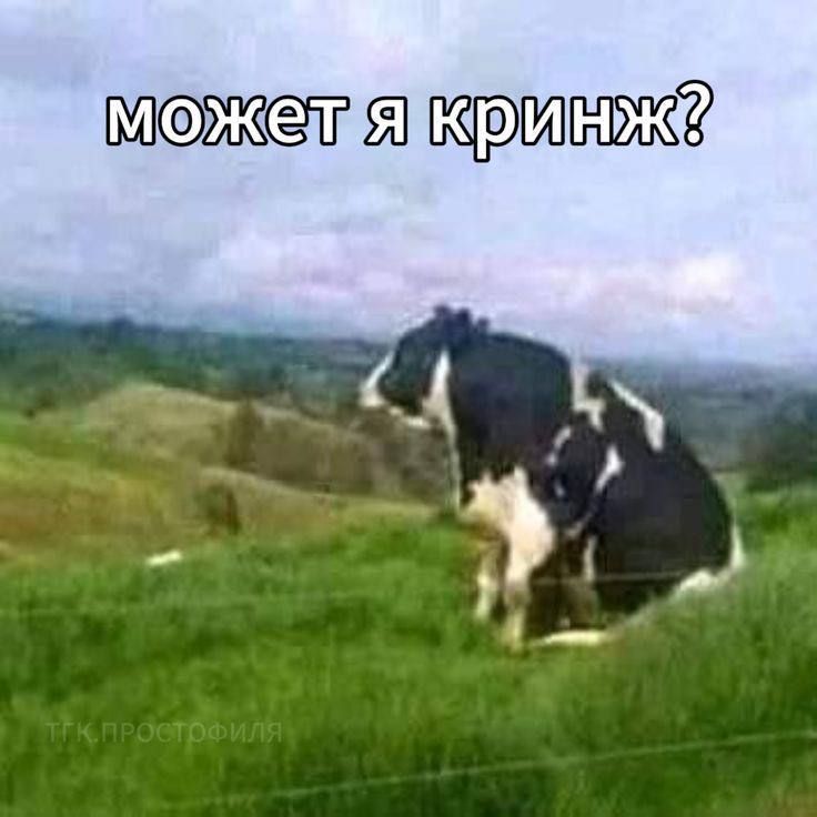 может я кринж