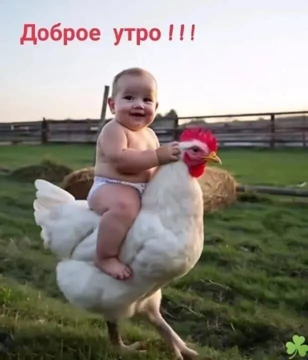 пожелание доброе утро🤍