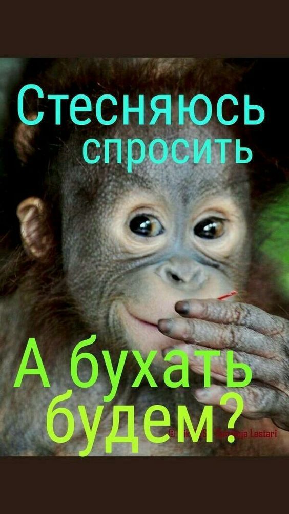 картинки смешные797