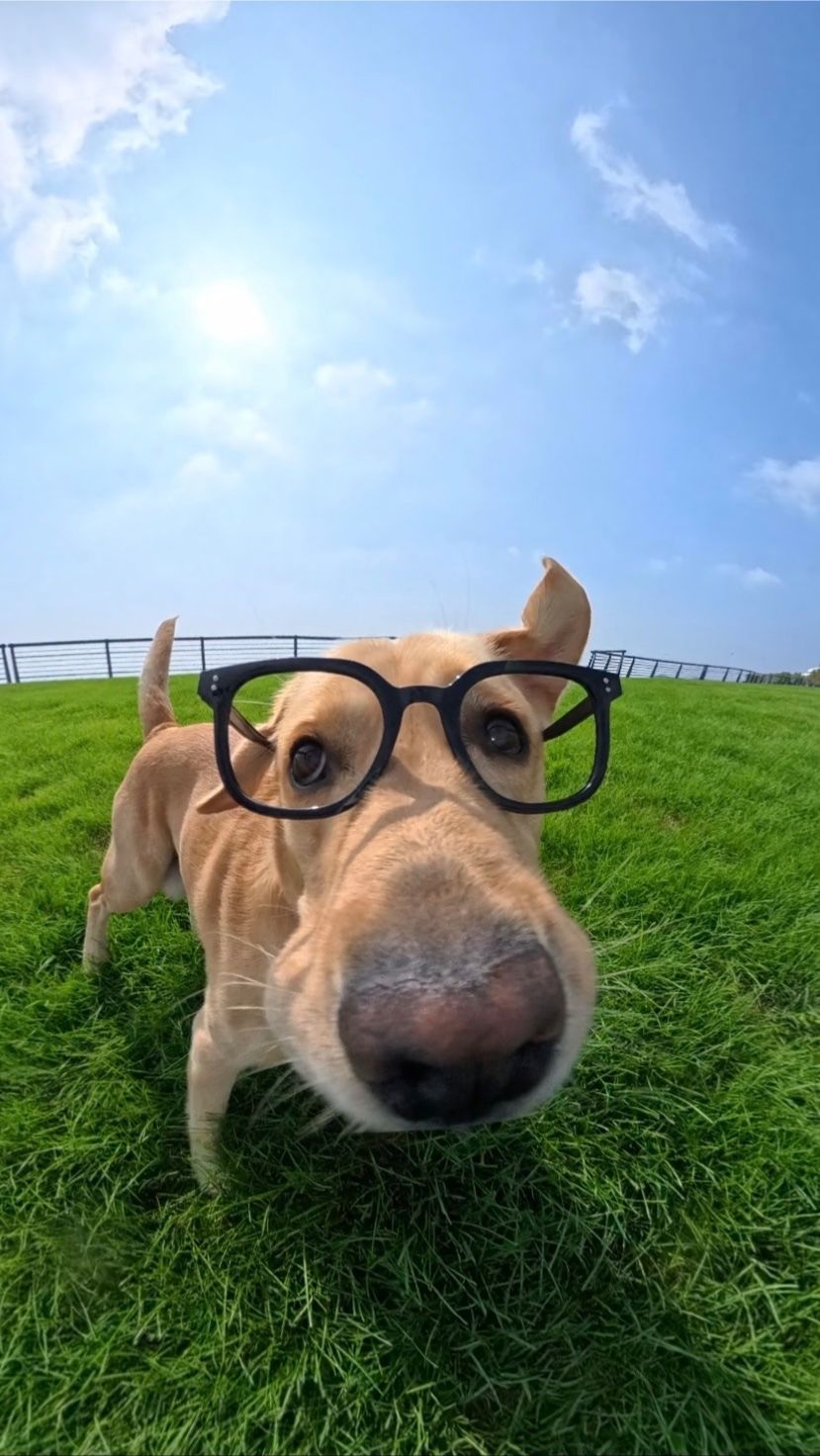 𝜗𝜚 ࣪˖ ִ𐙚