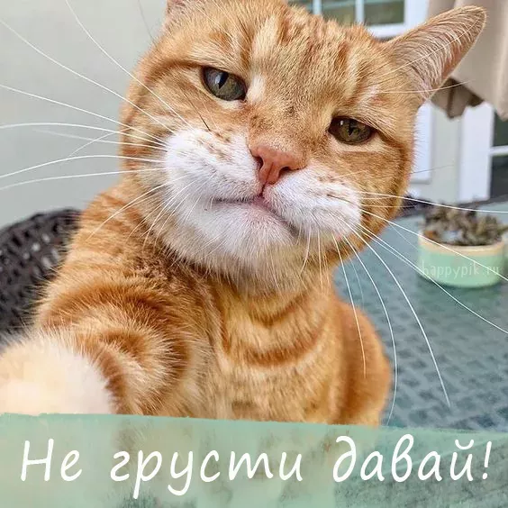 Картинки с надписью Что делаешь – скачать