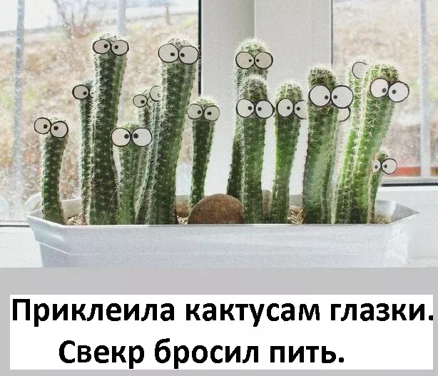 30 картинок для поднятия настроения – DarkLight — КОНТ