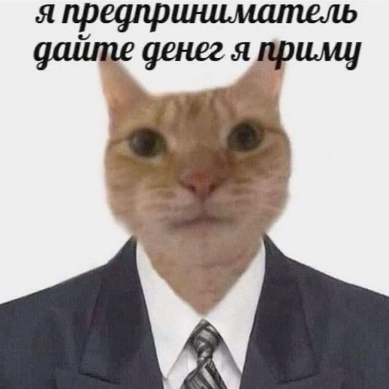 мем я предприниматель дайте денег я приму