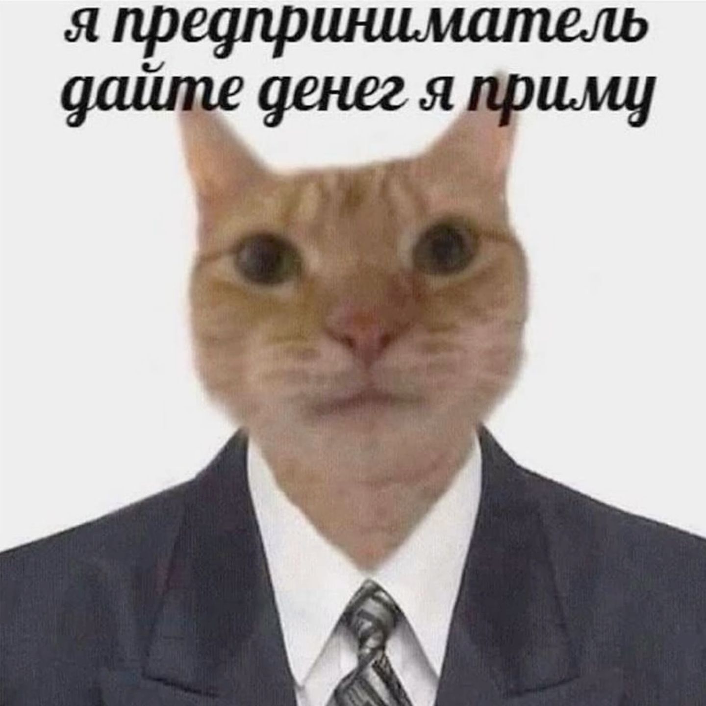 мем я предприниматель дайте денег я приму