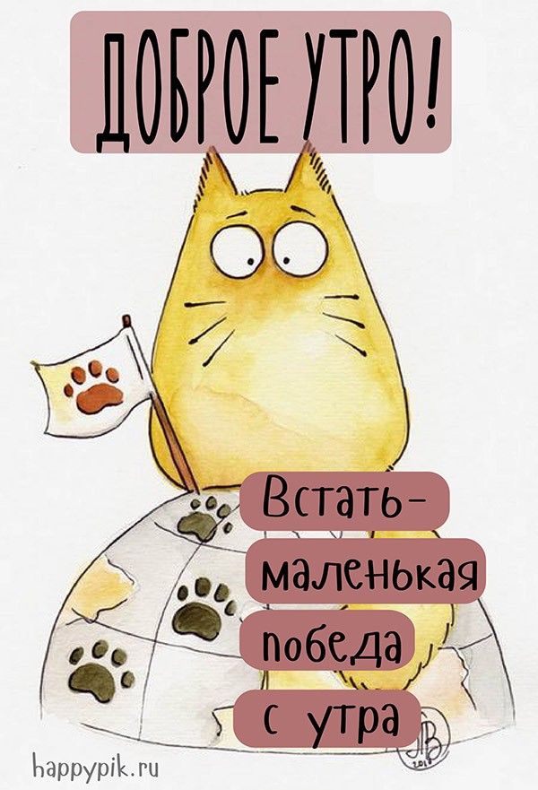 Позитивные картинки Доброе утро 😄 👇 – скачать